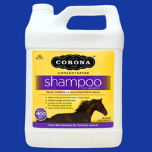 Corona Shampoo - Case of 4 Bottles