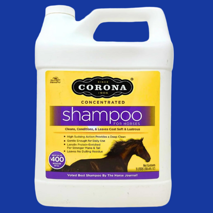 Corona Shampoo - Case of 4 Bottles