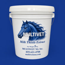 Milk Thistle - 4 to 1 Extract