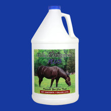 Milk of Magnesia - 4 Gallons