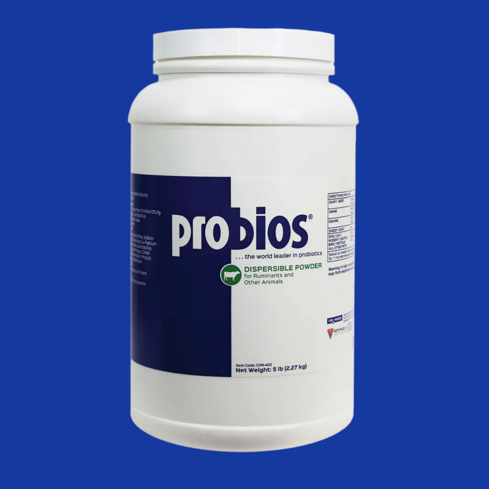 Probios (Probiotic) 3 5lb Containers – Multivet USA