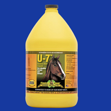 U7 Gastric Aid Liquid - 4 Gallons