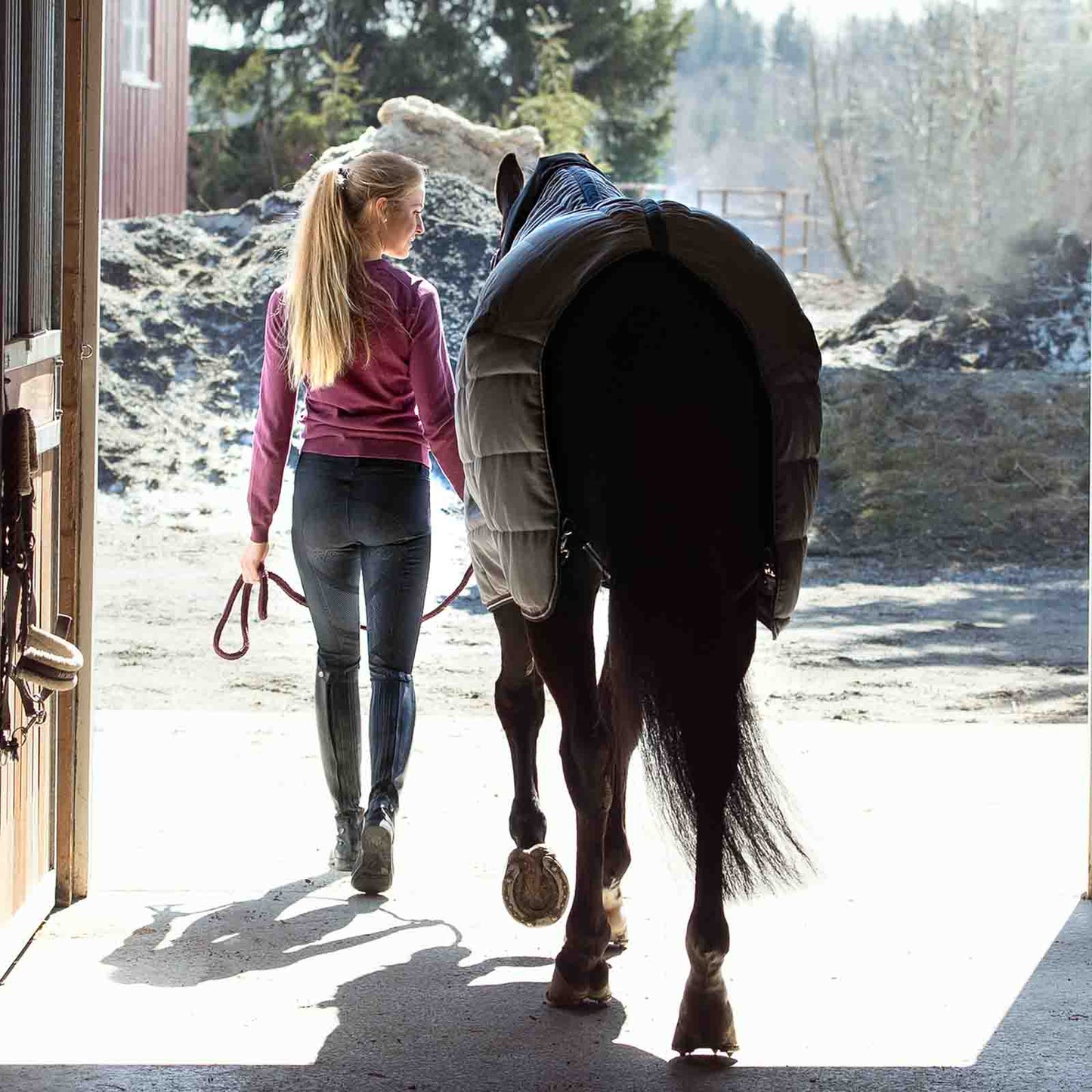 B Vertigo Tiffany Womens High Waist Silicone Knee Patch Breeches