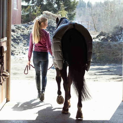 B Vertigo Tiffany Womens High Waist Silicone Knee Patch Breeches